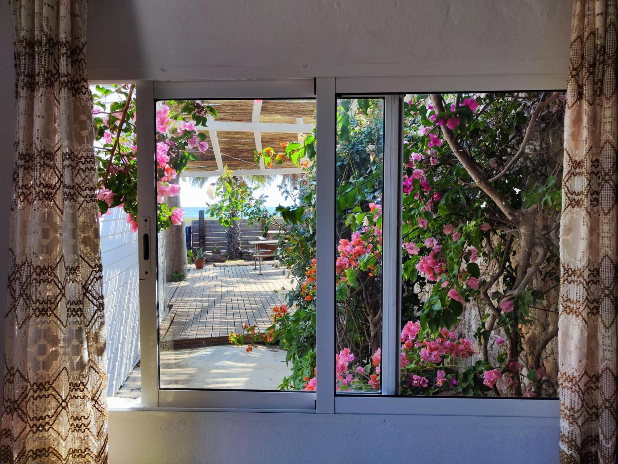 La Casa De Piedra A Orillas Del Mar Vejer de la Frontera Exteriör bild